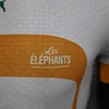 2022 Player Version C&ocirc;te d'Ivoire National Team Away Shirt