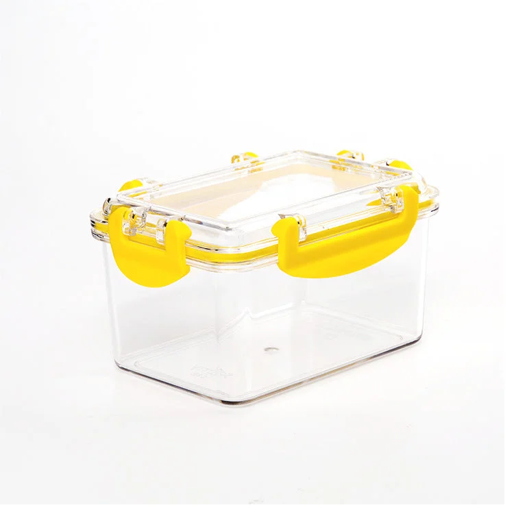 Storage Box | Clear Plastic | Mini