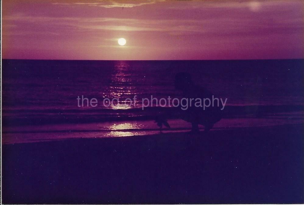 A Day At The Beach FOUND Photo Poster paintingGRAPH Color FLORIDA Original VINTAGE JD 19 15 U