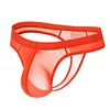 Transparent Ice Silk Slim Thong Men's Bikini Briefs