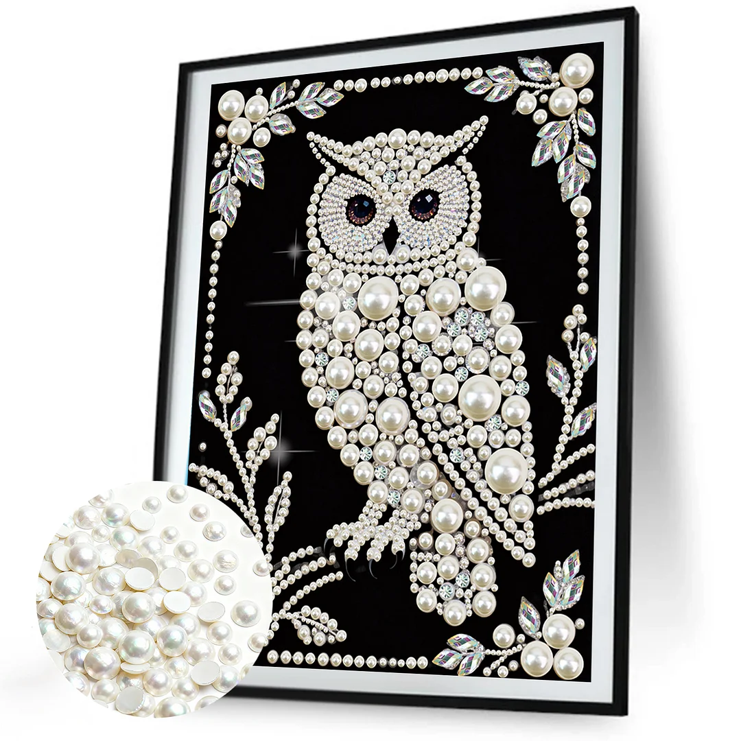 Owl Special Shaped 5D DIY Partial Drill Diamond Painting Kit Home Art 30x40cm