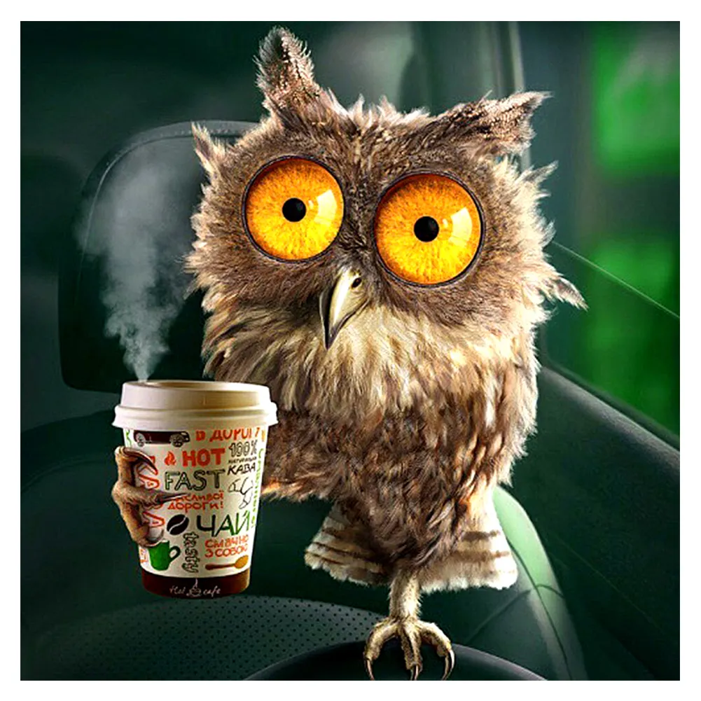 Diamond Painting - Full Round - Funny Owl