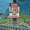 Funny Sarcastic Warning - Vintage Metal Signs(8*12Inch)  - Warning