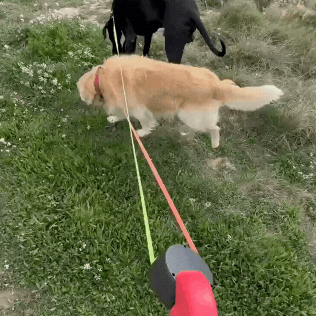 Duo Anti-Tangle Leash