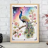 Diamond Painting-DIY Special Shaped Drill Pearl Painting Peacock(30x40cm)