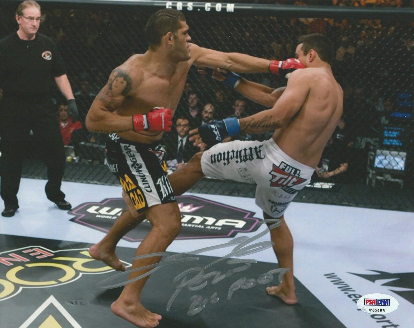 Antonio Bigfoot Silva Signed UFC 8x10 Photo Poster painting PSA/DNA COA Picture StrikeForce Auto