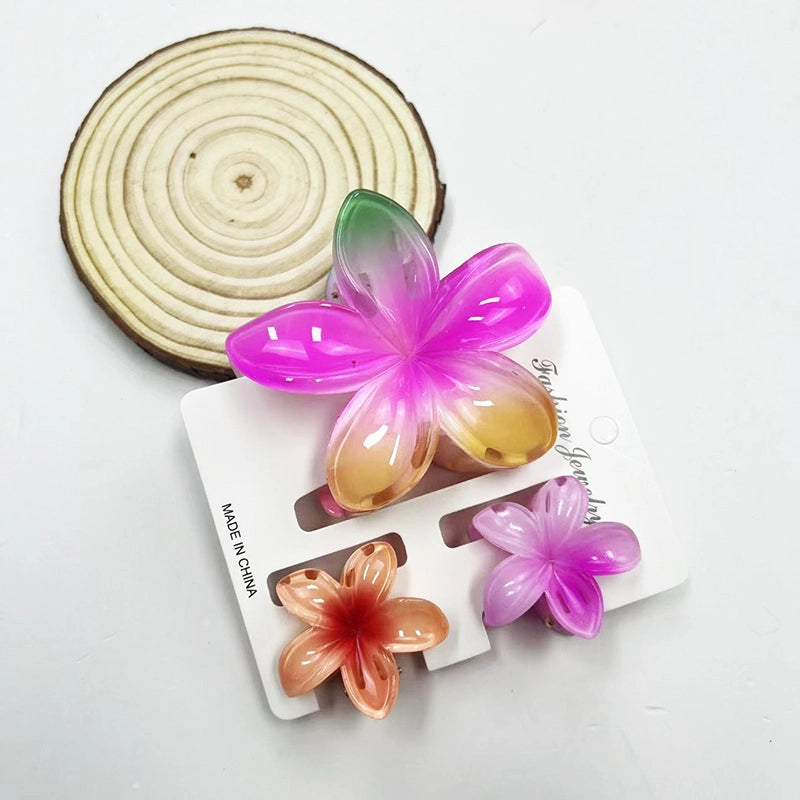 Vacation Modern Style Women’s Flower Resin Hair Claws