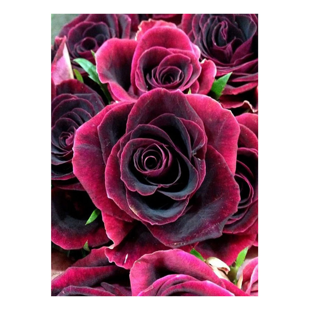 

Flower - 11CT Stamped Cross Stitch - 40*55CM, 501 Original