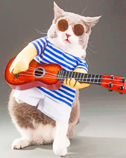 

Guitarist Cat – Paint By Numbers - 40*50CM, 501 Original
