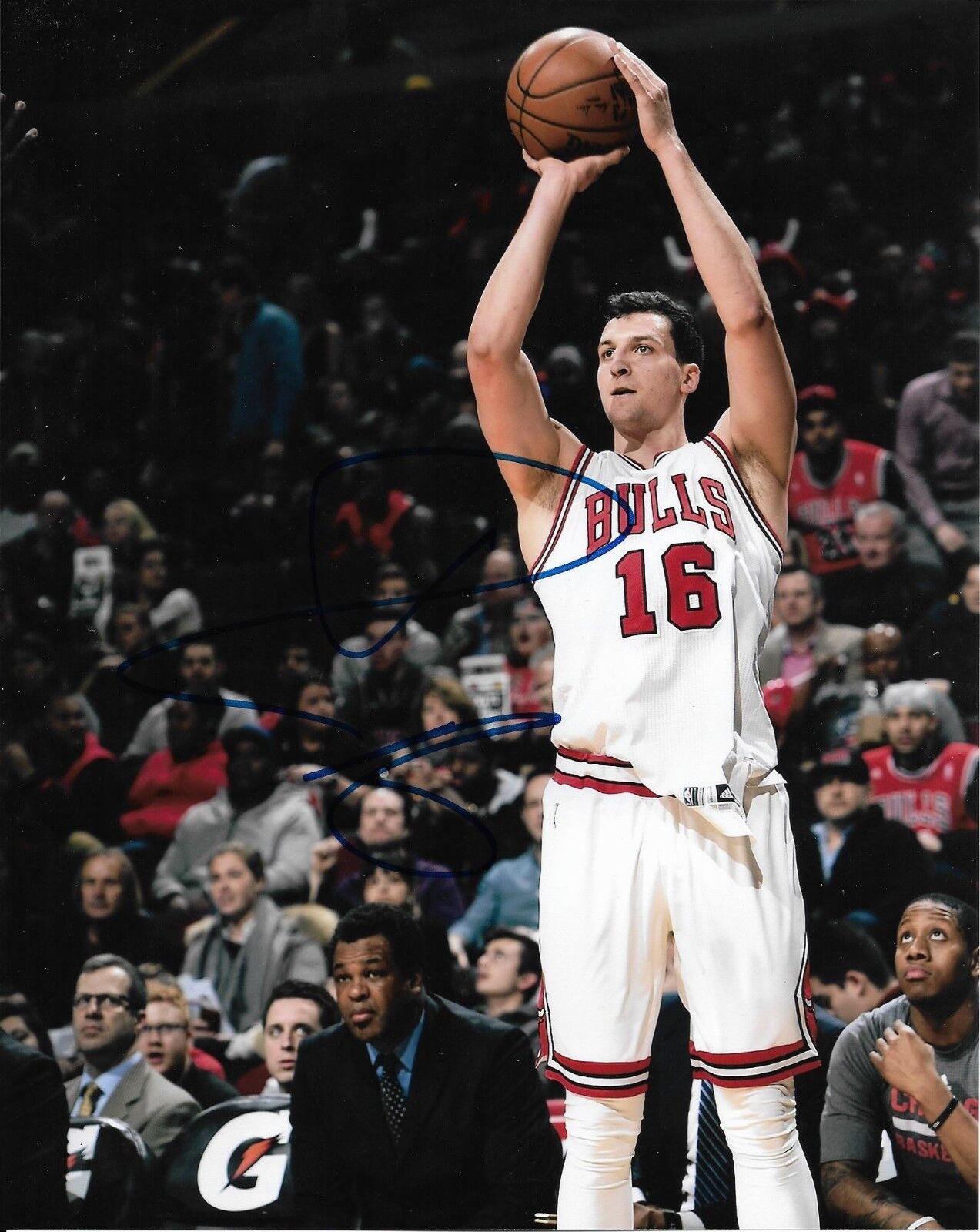 PAUL ZIPSER signed autographed CHICAGO BULLS 8x10 Photo Poster painting BASKETBALL w/COA