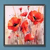 Painting By Numbers-Poppy(40*40CM)
