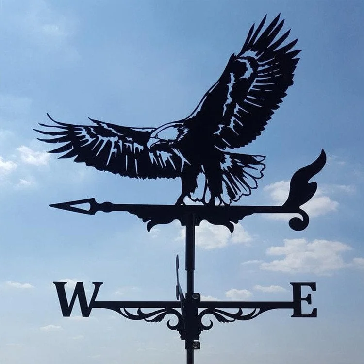  🏠Stainless Steel Weathervane