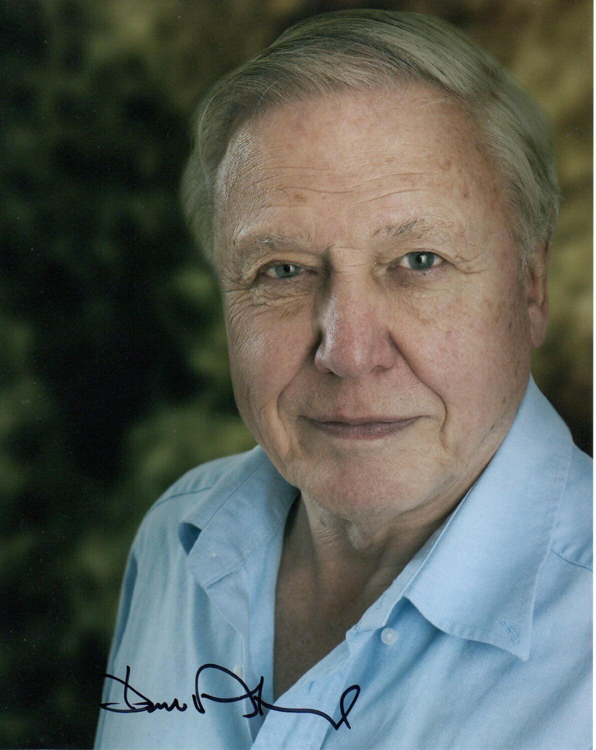 David Attenborough HAND Signed 10x8' Photo Poster paintinggraph Naturalist Broadcaster Autograph