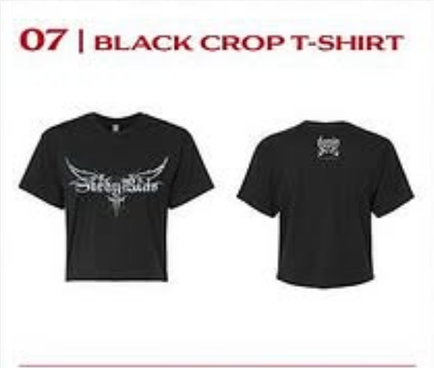 スキズdominATEヨーロッパツアー公式Tシャツ スキズdominATEヨーロッパツアー公式Tシャツ 2025 Stray Kids