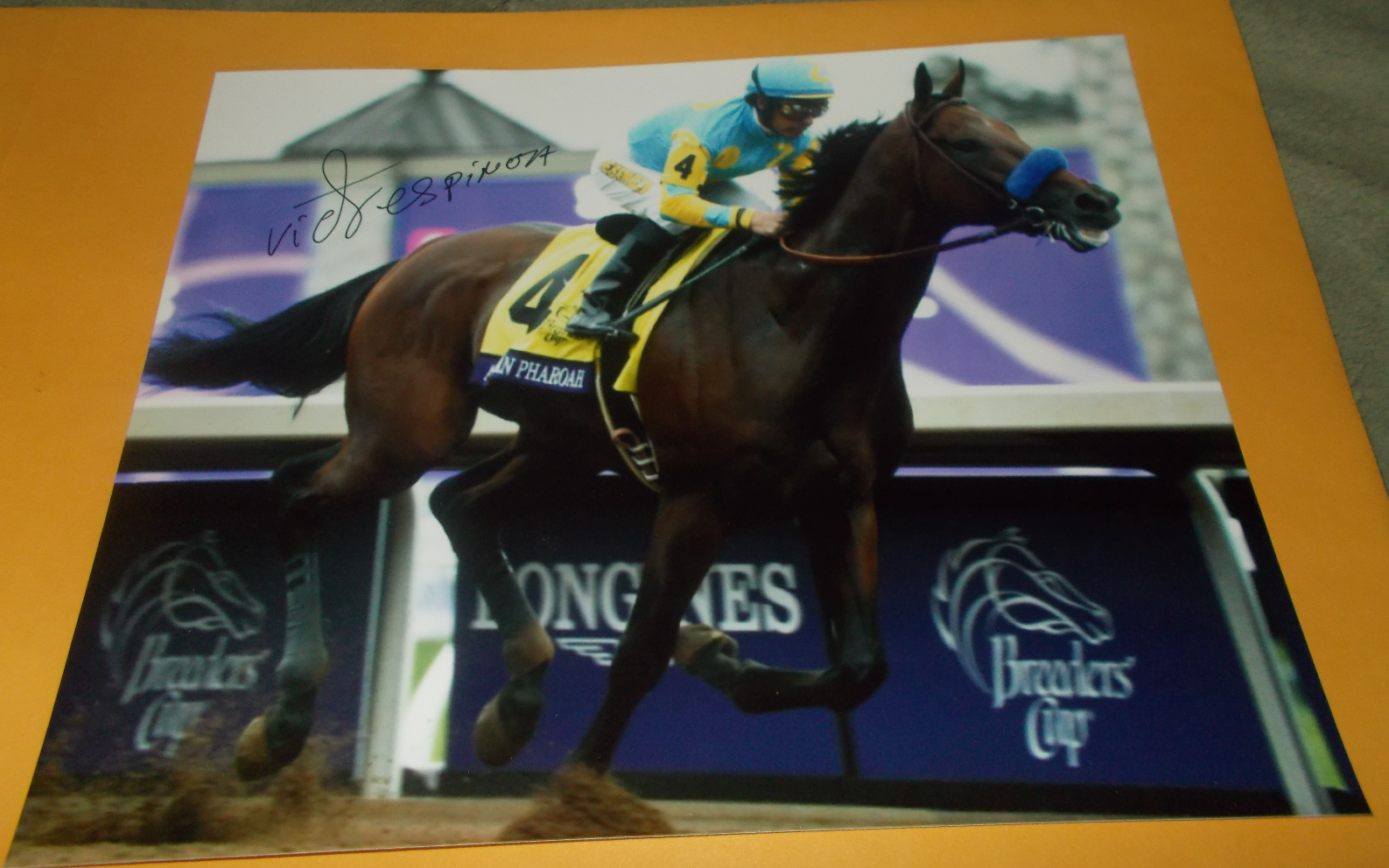 VICTOR ESPINOZA AMERICAN PHAROAH SIGNED 2015 BREEDERS CUP 8x10 Photo Poster painting CHAMPION