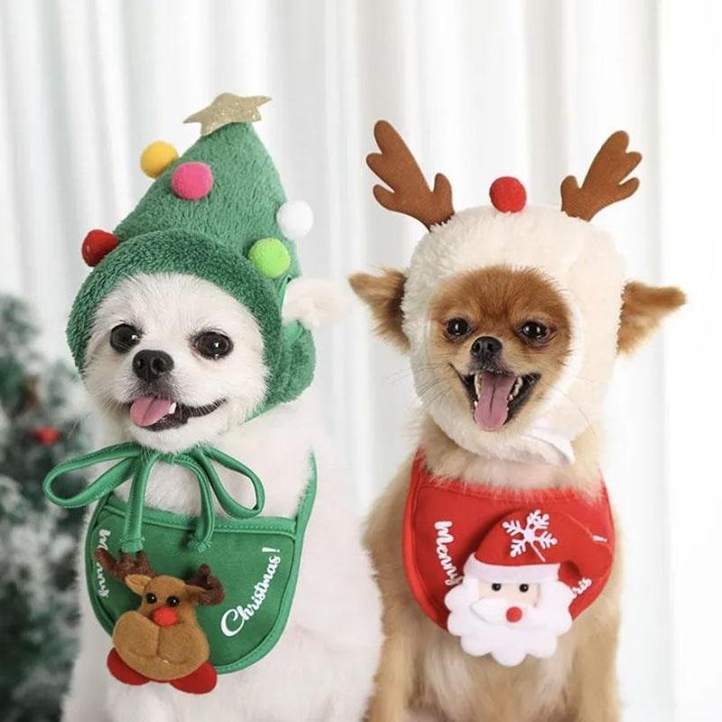 Christmas decoration pet hat and bib
