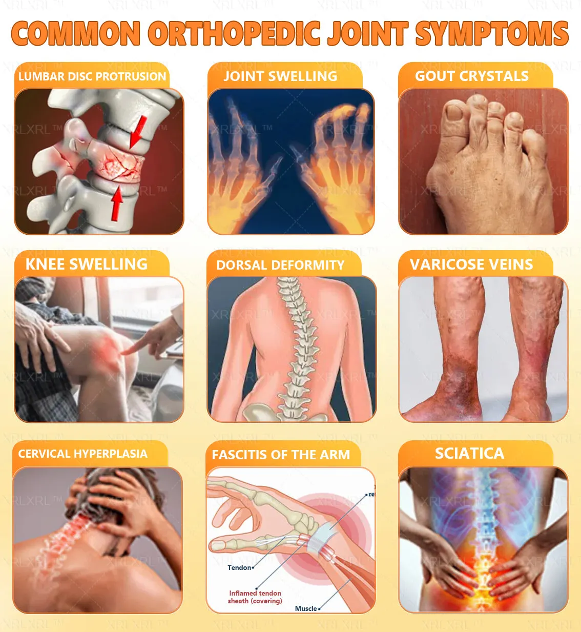 Alcuras® Bee Venom Pain-Relief Bone Healing Cream 🇺🇸(Specially for older adults)