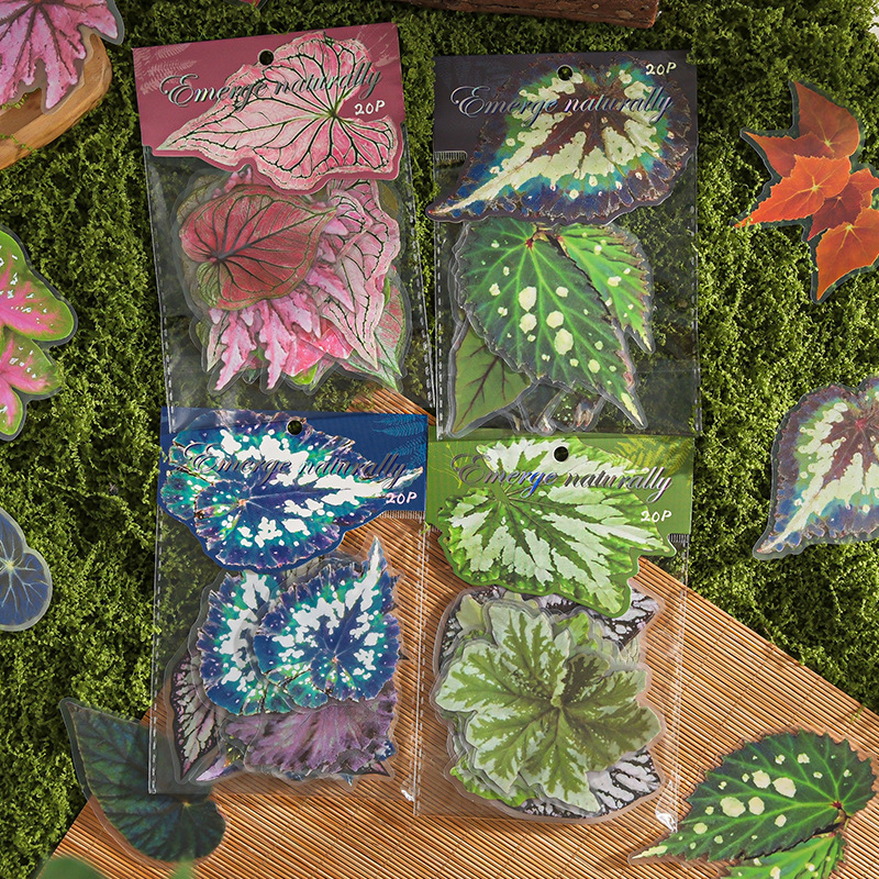 PET 스티커 - 천연염색 시리즈 빈티지 식물 잎