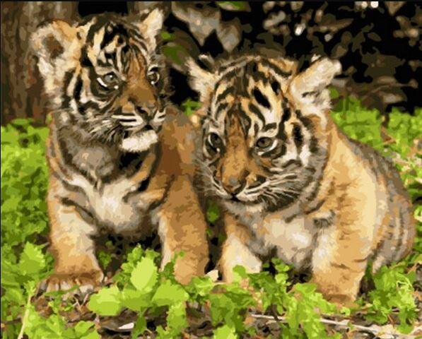 

Little Tiger Brothers – Paint By Numbers - 40*50CM, 501 Original