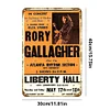 Rory Gallagher - Vintage Metal Signs - 20*30cm/30*40cm - Music