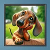 Dackel - Rundbohrer Diamantmalerei - 40*40cm
