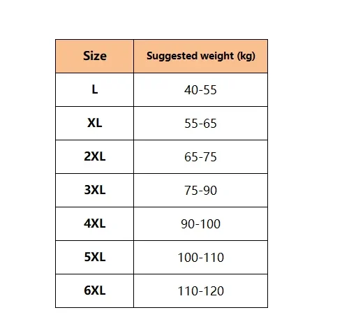 ZenChic Bra - Seamless Sexy Push Up Wireless Bra