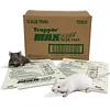 Catchmaster 72 Pack MaxCatch Rat & Mouse Indoor Outdoor Glue Pest Trap