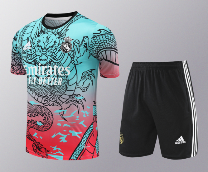24/25 Real Madrid Training Kit Short Sleeve Football Shirt Thai Quality