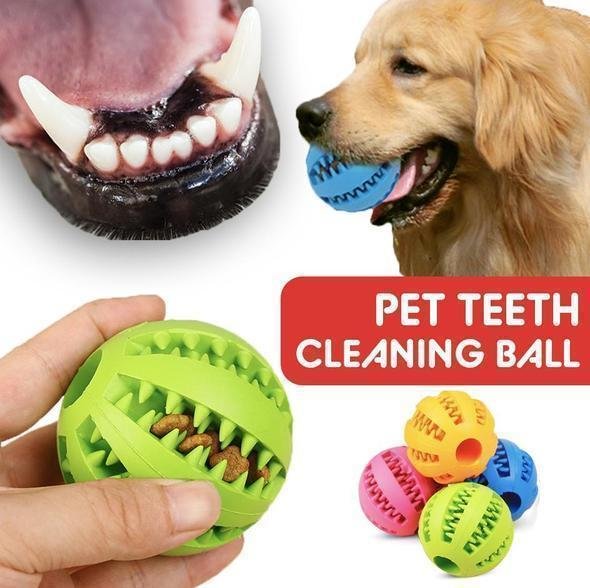 Pet Teeth Cleaning Ball