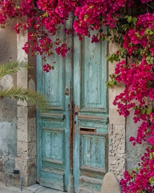 

Old Doorways With Flowers – Paint By Numbers - 40*50CM, 501 Original