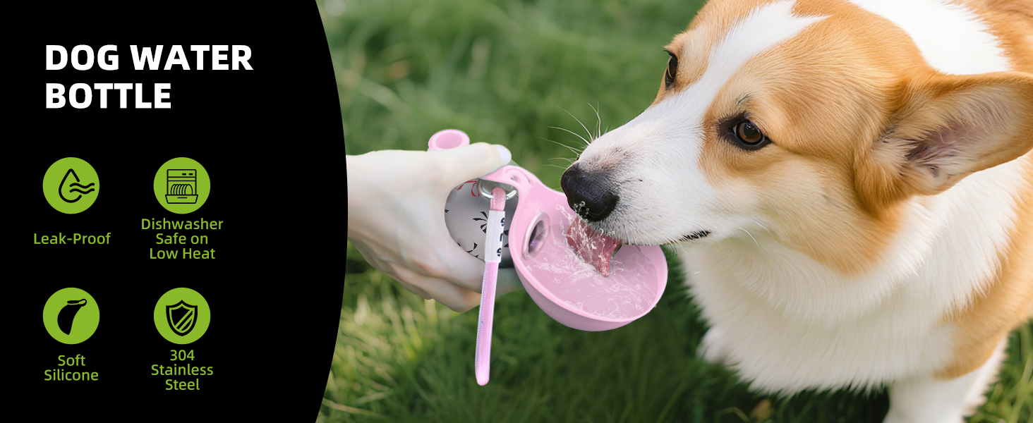 travel dog bowl