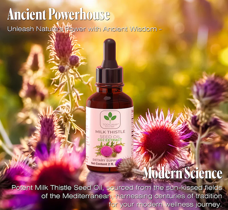 水飞蓟籽油护肝圣品 Liver Care-Milk thistle seed oil