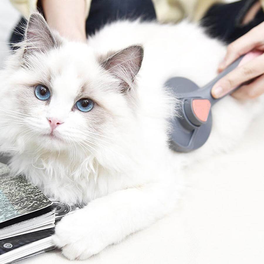 (45%OFF)Pets Hair Brush Remover(Two pieces of free shipping)