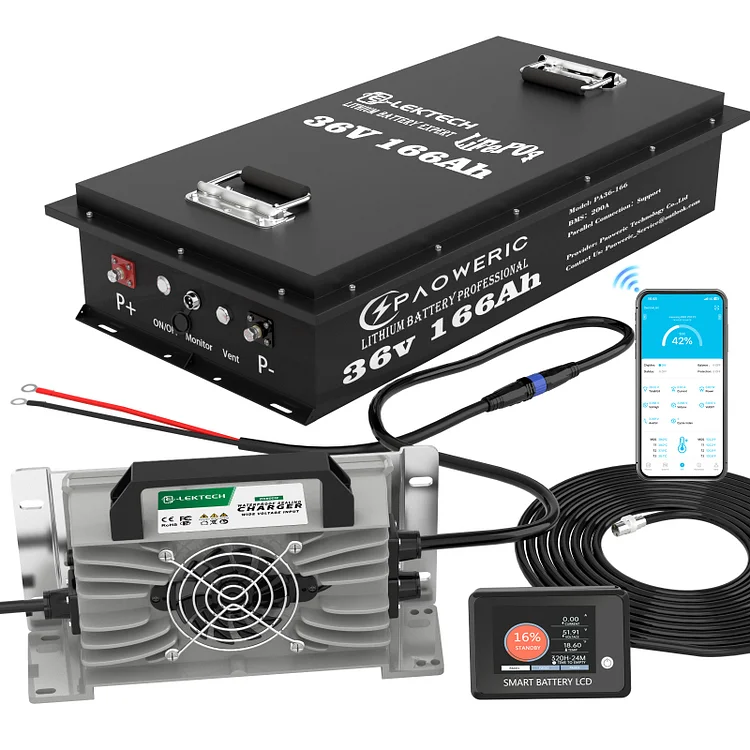 36V 166Ah Golf Cart Battery With Charger