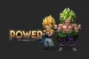 WCF Scale Broly - Dragon Ball Statue - Power Studio