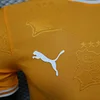 2024 Player Version C&ocirc;te d'Ivoire Special Edition Orange Football Shirt 1:1 Thai Quality