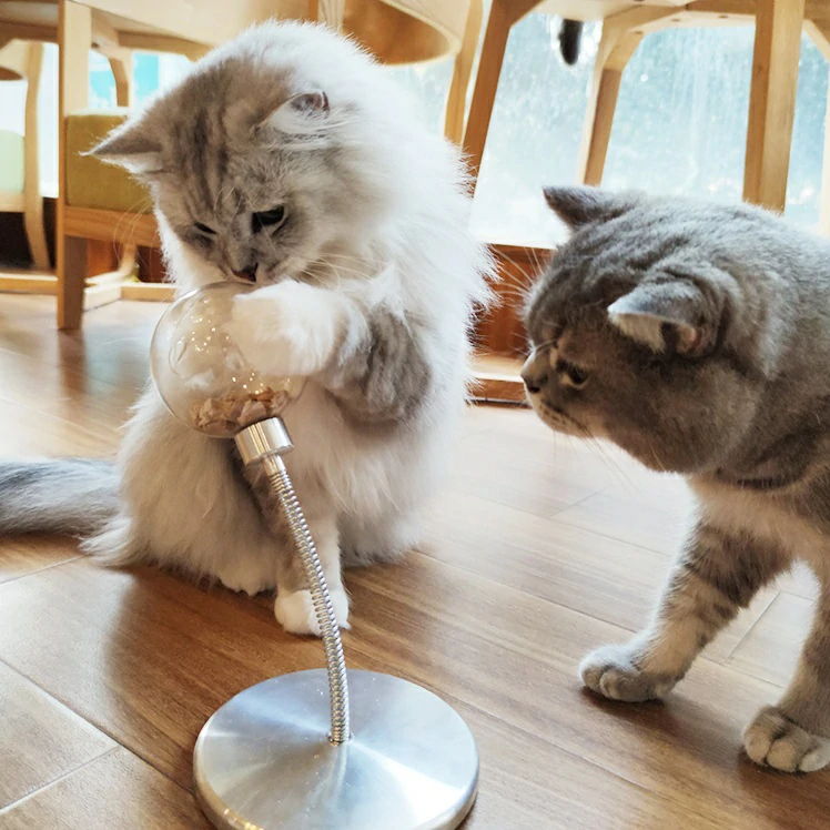 Swinging Food Leakage Ball