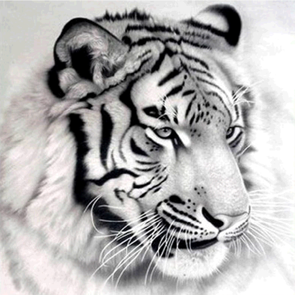 White Tiger 20*20cm paint by numbers