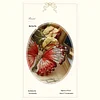 DIY Embroidery Sewing Craft Brooch Clothes Decoration Embroidery Butterfly Lapel Pin for Backpack Pants T-Shirt Jacket Bags Dress Jeans