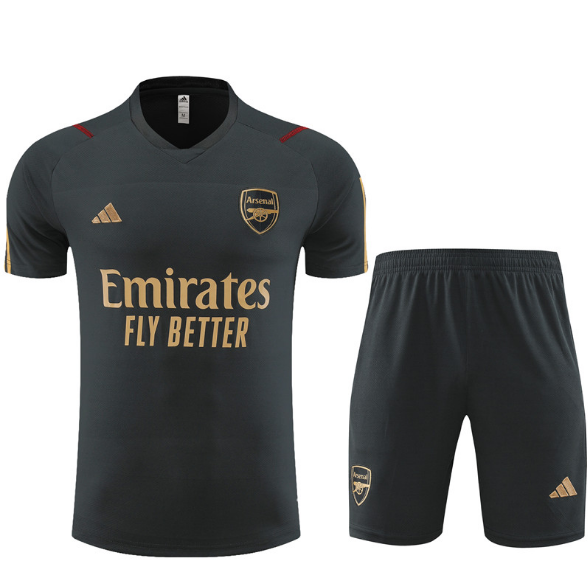 23/24 Arsenal Short Sleeve Training Kit Football T-Shirt