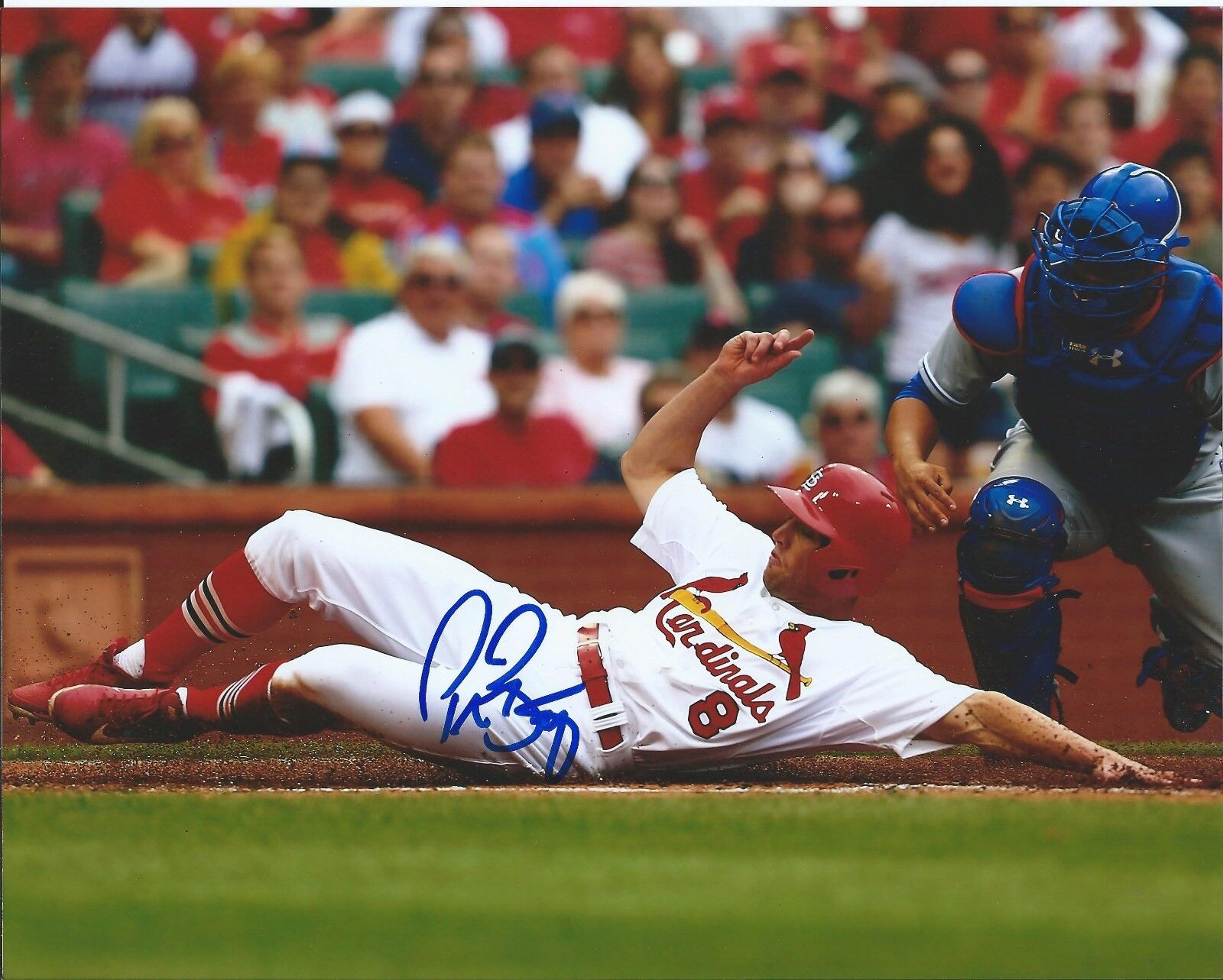 PETER BOURJOS signed autographed ST. LOUIS CARDINALS 8x10 Photo Poster painting