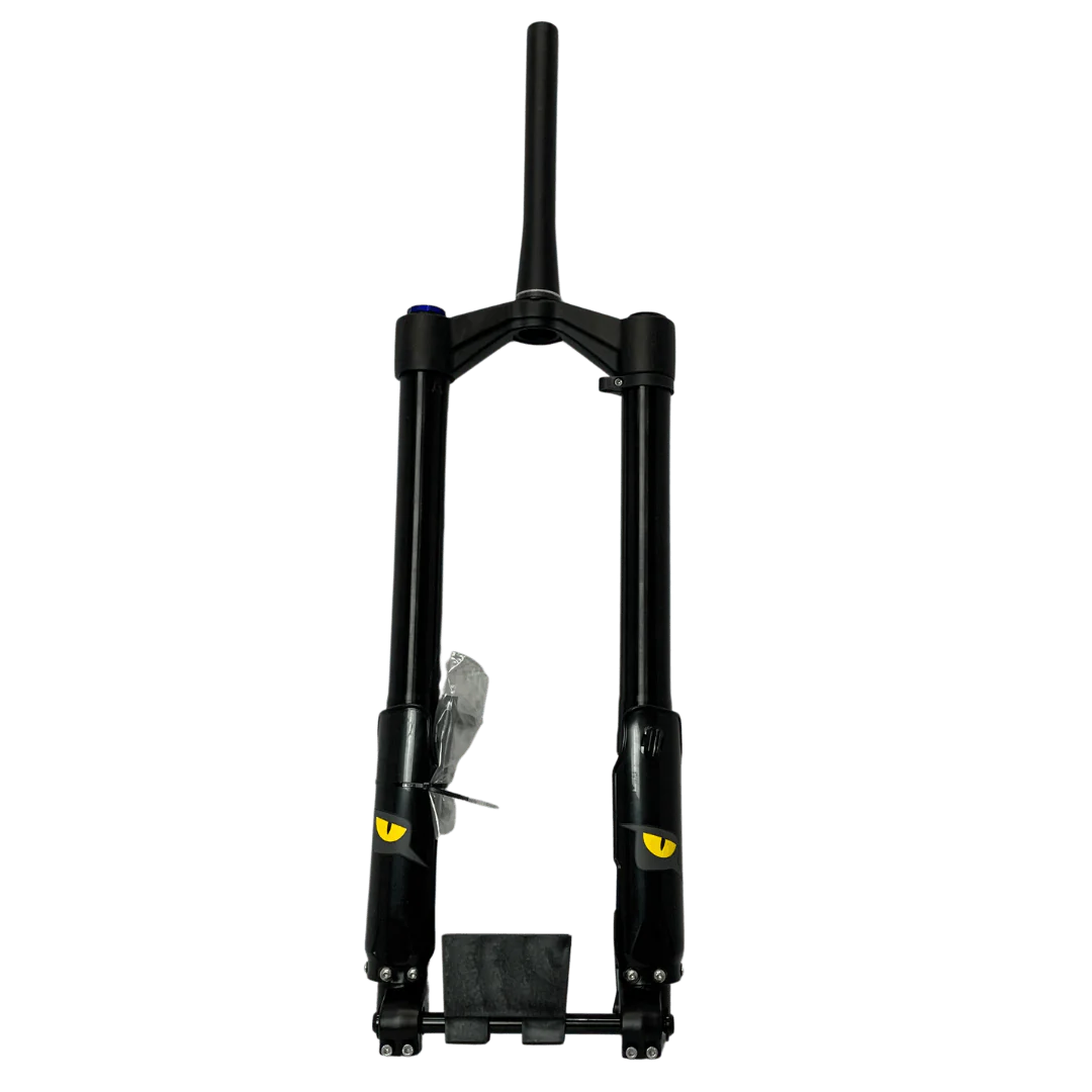 SAMEBIKE electric bicycle front fork(the image is only a reference)