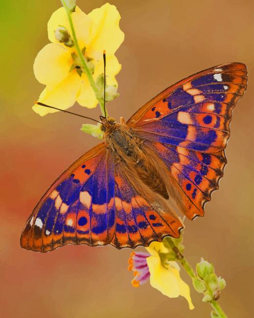 

Purple Emperor Butterfly – Paint By Numbers - 40*50CM, 501 Original