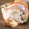 😸Tunnel pour animaux de compagnie avec boule en peluche