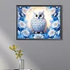 Owl - Square AB Drills Diamond Painting(45x35cm)