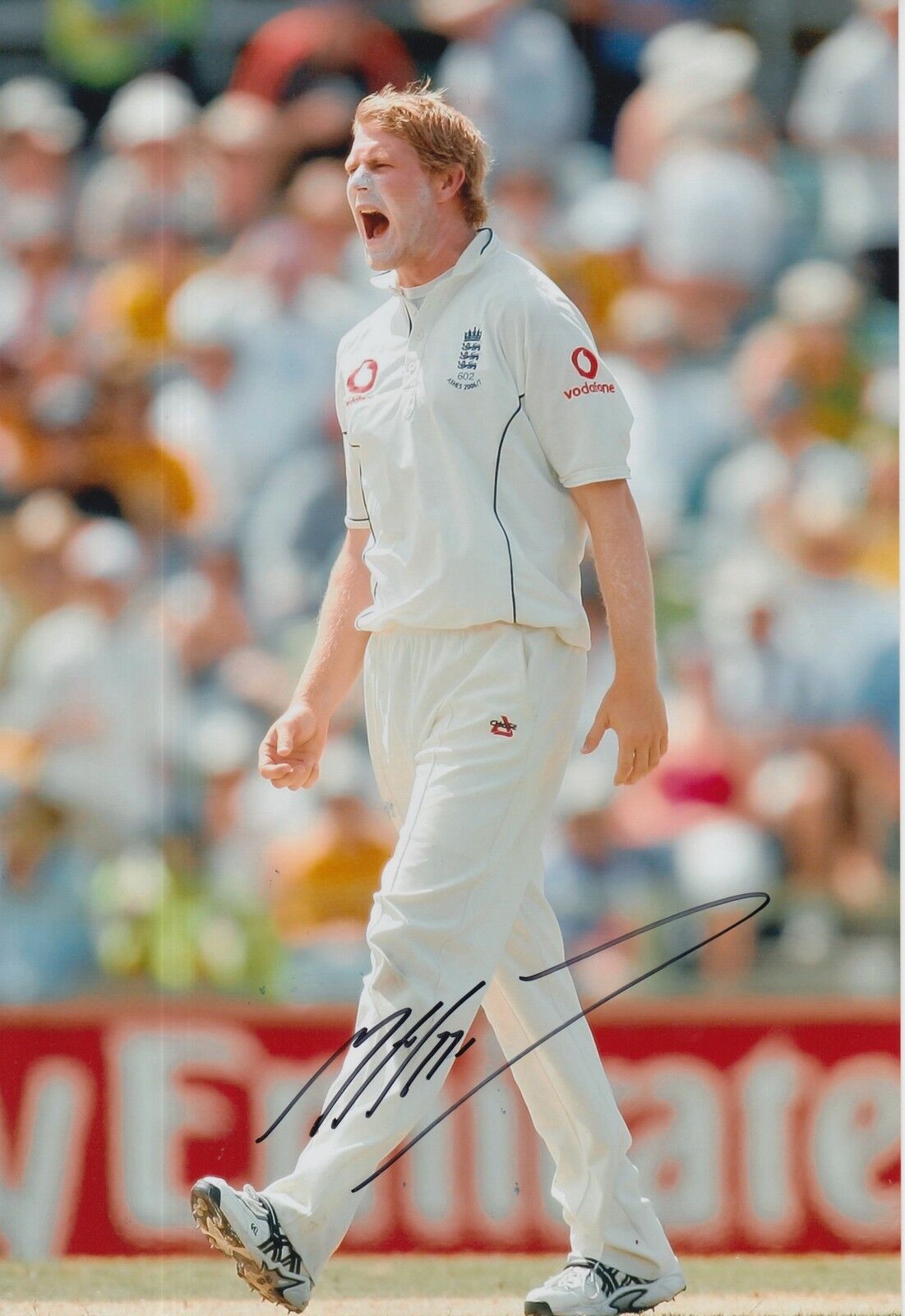 Matthew Hoggard Hand Signed 12x8 Photo Poster painting England Cricket.