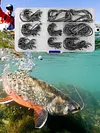 200pcs Fishing Catfish Hooks High Carbon Steel Saltwater Octopus Fishing Hooks