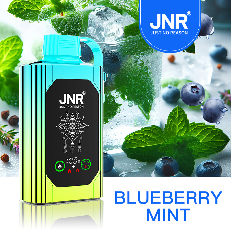 JNR Shisha Hookah Box 30K Disposable Vape-Blueberry Mint Best Vape