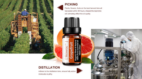SkineticTM Grapefruit Anti-Cellulite Essential Oil