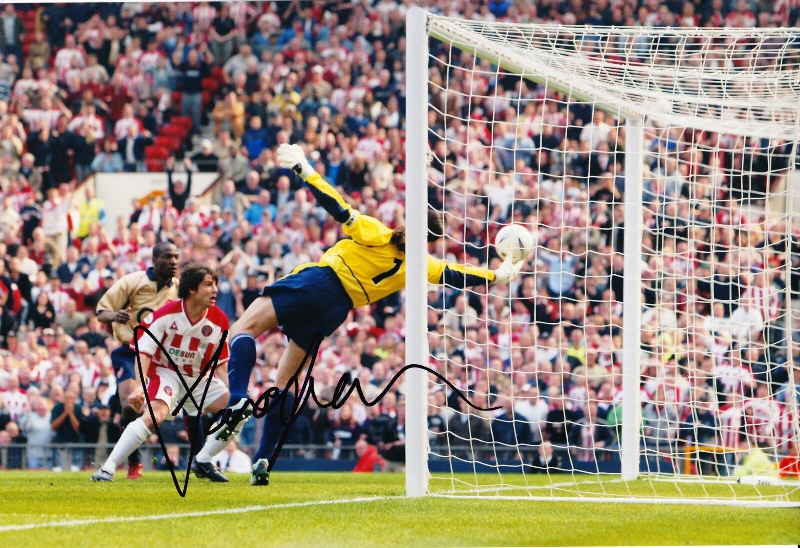 DAVID SEAMAN Signed 12X8 Photo Poster painting Arsenal AFTAL COA (9105)